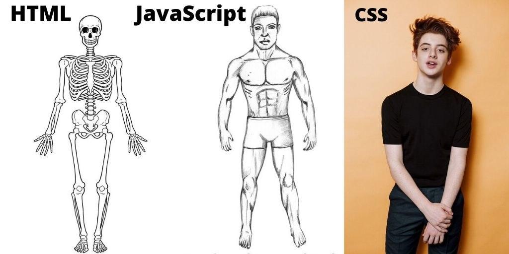 آشنایی با زبان CSS  در طراحی وب سایت